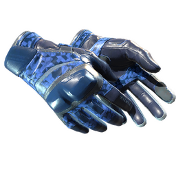 ★ Moto Gloves | Polygon