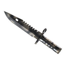 ★ M9 Bayonet | Scorched