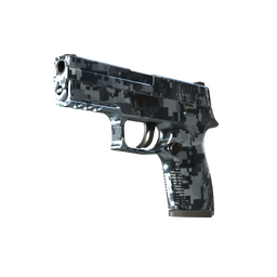 P250 | Steel Disruption