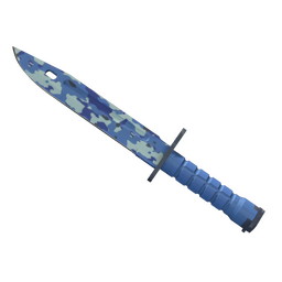 ★ StatTrak™ Bayonet | Bright Water