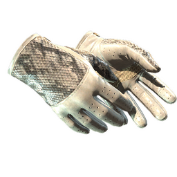 ★ Driver Gloves | King Snake