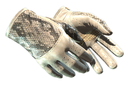 ★ Driver Gloves | King Snake