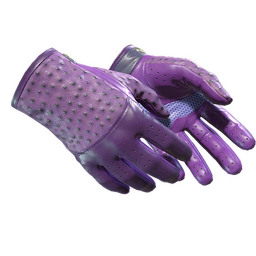 ★ Driver Gloves | Plum Quill